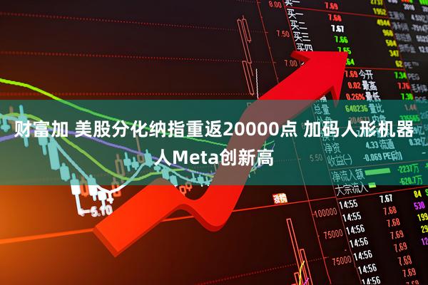 财富加 美股分化纳指重返20000点 加码人形机器人Meta创新高
