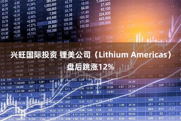 兴旺国际投资 锂美公司（Lithium Americas）盘后跳涨12%