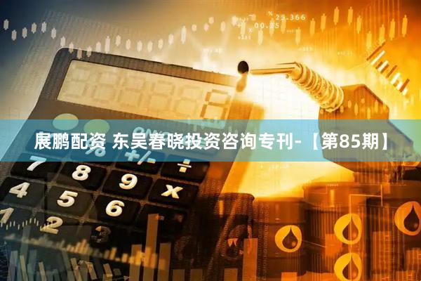 展鹏配资 东吴春晓投资咨询专刊-【第85期】